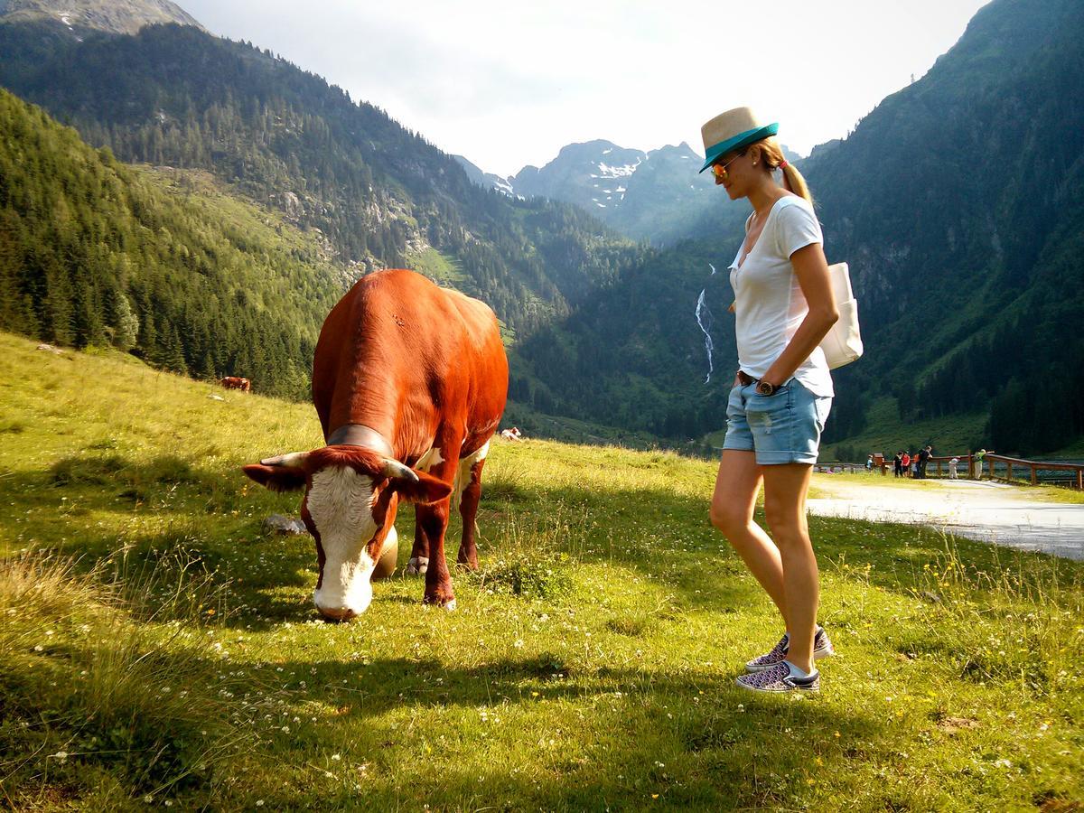 Ridehouse Bed and Breakfast Schladming Eksteriør billede
